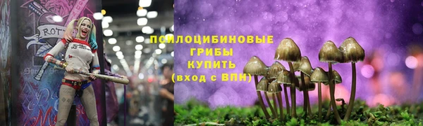 кокаин перу Заводоуковск