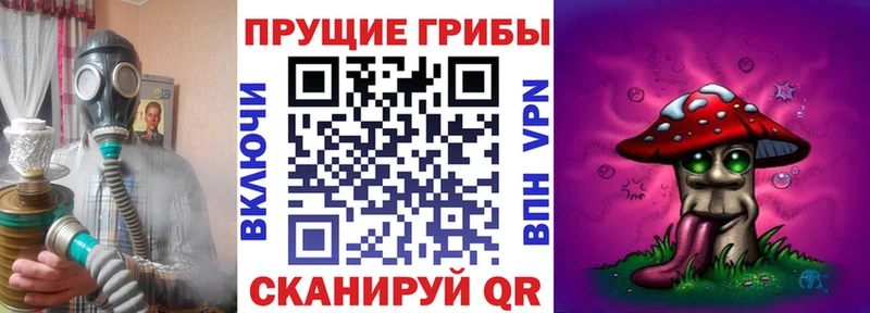 Галлюциногенные грибы Magic Shrooms  Купить  Дубна 
