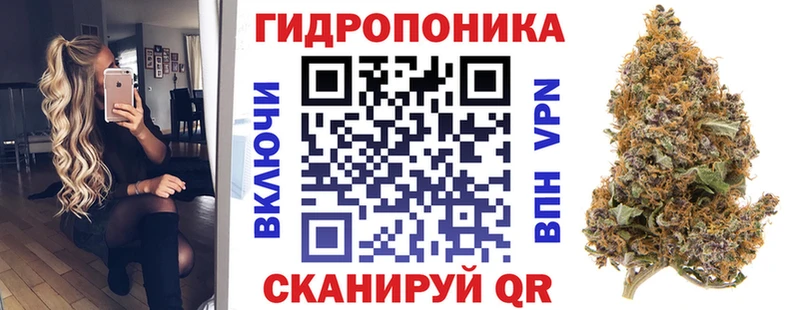 Шишки марихуана VHQ  Купить  Дубна 